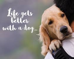 Dog Lovers